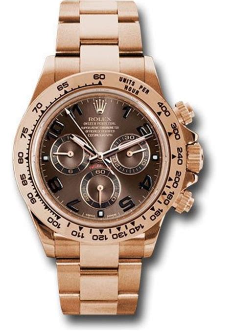 rolex daytona brown